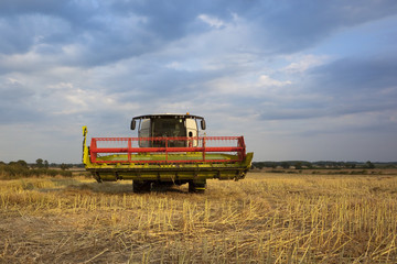 Fototapeta premium harvester under cloudy skies