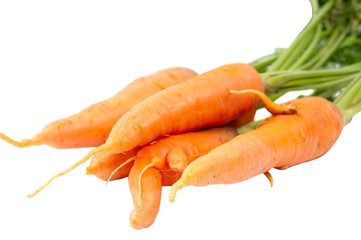 carrots