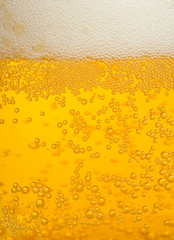 beer