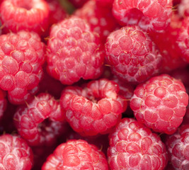 Raspberries background