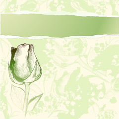 Vintage background with rose