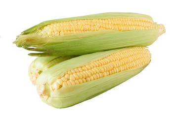 fresh corn
