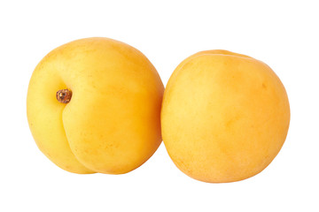 Apricot fruit