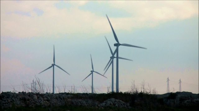 turbine eoliche con stormo di uccelli