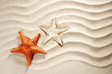 Fototapeta na wymiar beach white wavy sand starfish summer vacation