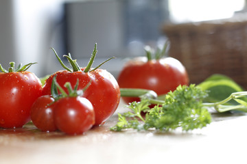 tomatenernte