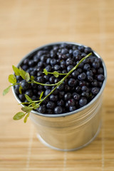 blueberry in bucket
