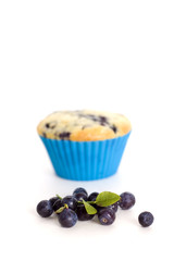 blueberry and muffin
