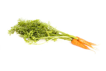 ripe carrots
