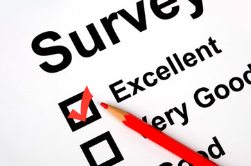 Fototapeta premium Survey