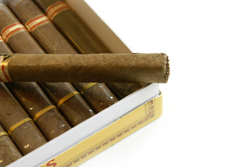 Cigars