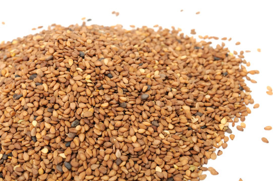 Tan Sesame Seeds