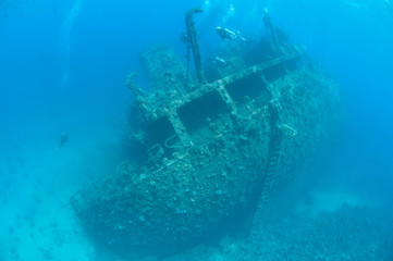Divers exploring a large shipwreck