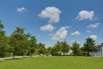Fototapeta premium Sonniger Tag und Wiese