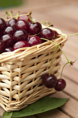 Juicy Fresh Cheery