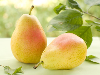 pears