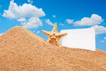 Fototapeta na wymiar A view of a sea star and a white card at beach
