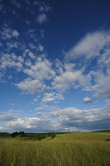 Obraz premium Free heaven