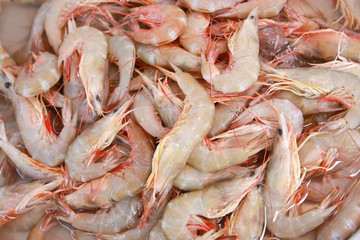 group of fresh shrime in market