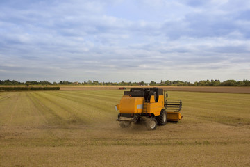 Obraz premium yellow harvester