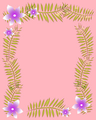 soft pink frame