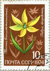 postage stamp