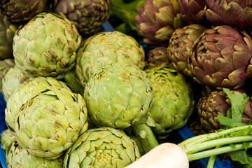 Freshly harvested artichokes on display at the farmers market