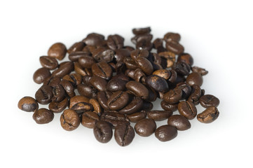 Kaffeebohnen, Coffea arabica