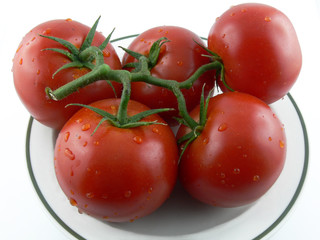 Tomaten