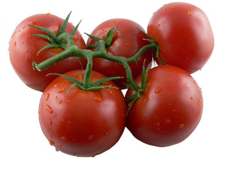 Tomaten