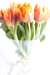 Frühling in der Vase