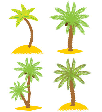 Set of various palm trees. Objects isolated. Vector