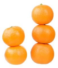 Tangerines isolated on white background. Concept of growth.