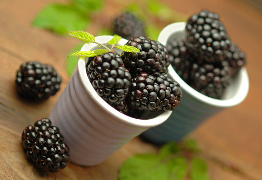More - Blackberries