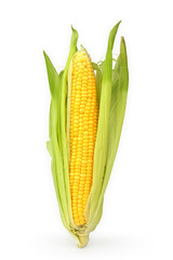 Corn