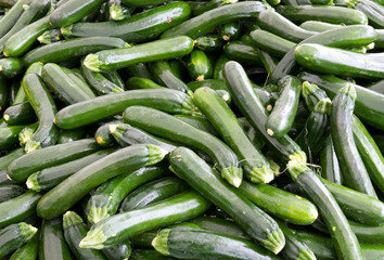 Zucchini at the farmer's market