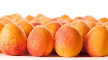 Many fresh ripe apricots in rows