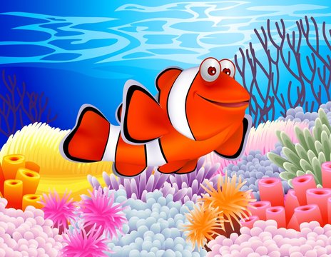 clown fish cartoon