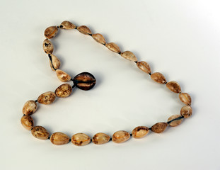 Marine neclace	made from sea shells