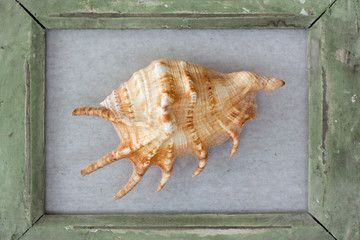 souvenier © monropic