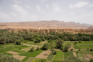 Valle Delle Rose-Marocco