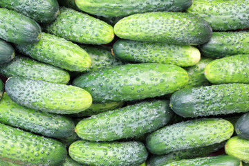 some cucumbers