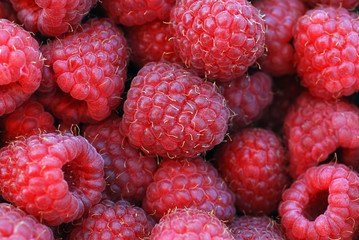 raspberries