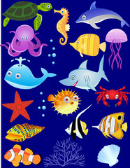 Sea life cartoon set