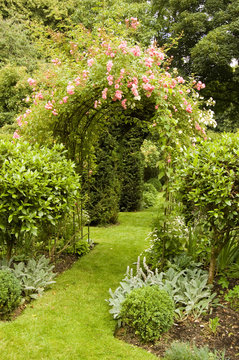 Rose Archway