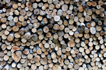 Detail view of a stack of logs - obrazy, fototapety, plakaty