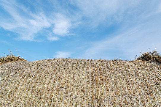 Part of haystack.