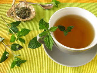 Tee mit Aztekischem Süsskraut