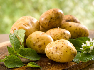 potatoes