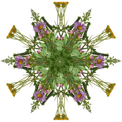 Kaleidoscope from wild flowers and grasses.